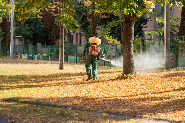 Best Wildlife Control Services  in Lakemore, OH